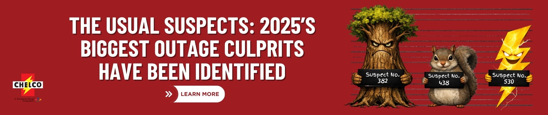 https://www.chelco.com/usual-suspects-2025s-biggest-outage-culprits-have-been-identified